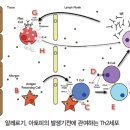 논현프라자약국 이미지