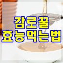 최순복농장 Daum카페