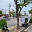 우아펫 대전점 이미지