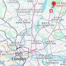 The heartwood 이미지