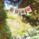 궁뜰 맛있는 발효밥상 곤지암맛집 화담숲맛집 이미지