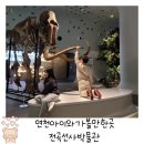 연천아이와가볼만한곳 전곡선사박물관 무료전시 구석기시대로 떠나보는 여행