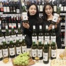 블랙앤화이트 이미지