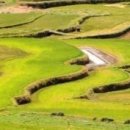 청산도의미래 이미지