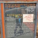행전교회 앞 ~ 회천3동행정복지센터 앞 도로 | #250517 (갈맷길3-2)부산진시장~영도절영산책로