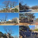 명륜로 18(온천천 세병교 아래) | 부산의 수영강과 온천천을 걷다