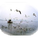 바닷가의추억민박 이미지