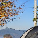 노을빛바다 이미지