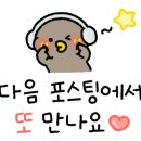일등쭈꾸미 이미지