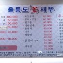 울릉도꽃새우 이미지