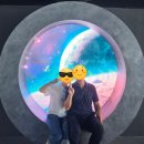 (주)정원해 | [여수/순천 여행] 순천만국가정원 방문후기(국가정원/식물원/시크릿어드벤처)