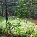 쏘가리상 이미지