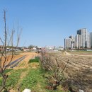 개발지구 이미지