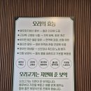 푸짐한 강릉 오리고기 맛집 찾는다면? 주문진 초록반상 솔직후기