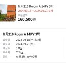 브릭216 이미지