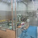 오감데이즈