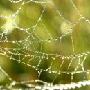 청소년지도사 이미지