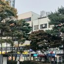 금호숲속어린이집 이미지