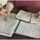 호 타로 이미지