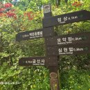 광명로 Daum카페