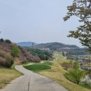 골프필드 네이버블로그