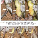 곡성-127 이미지