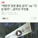 "애완견 공원 출입 금지" vs "간섭 말라"... 갈라선 주민들 이미지