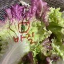 오산3리(공원)야외운동기구 | [서울국제정원박람회] 보라매공원가는법, 메타몽가든,장미정원, 음악분수, 먹거리, 푸드코트