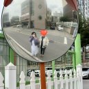 신세계여행사주 이미지