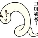 식스마산 네이버블로그