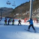 대마초등학교 이미지