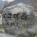 2010년 마고실 섬진강 벚꽃길.. 이미지