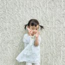더 베케이션 샵 이미지