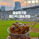 223 | 잠실야구장 먹거리 레드석 시야 직관 후기ㅣ주차장 정보 맥주 (+3루 레드석 223블럭 후기)