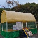 해피캠퍼(happy camper) | 파주 시즌온캠핑장에서 아이들과 첫 할로윈캠핑
