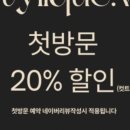 스타일리끄W