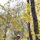 10월22일 설악 수렴동계곡 오세암길 이미지