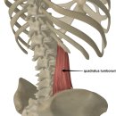 S&C 트레이닝 센터 이미지