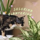 [반려학습] 반려 식집사의 식물이야기 | 가끔 쓰는 식집사 일기, 어쩌다 보니 일이 너무 커졌다