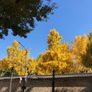 겨울 시즌송: ＜그 겨울의 찻집＞에 얽힌 이야기 이미지