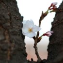 용화카센타 이미지