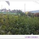 농업회사법인(주)한울타리 이미지