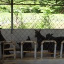 금사농장 이미지