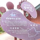 다리안 황토길 네이버블로그