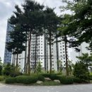 GS25 동탄엘크루점 | [동탄 8억대 아파트] 한화포레나 동탄호수 아파트 임장 분석