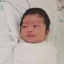 청화세탁 네이버블로그