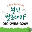 정곡리 | 밀양 무안면 정곡리 벌초2기 작업후기(철인벌초대장)