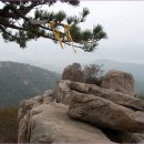 장안사4(주차장) 이미지