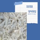 잘될놈 | 삼성역 코엑스 직장인 단체회식 맛집 영덕횟집 세꼬시 후기