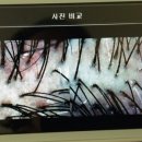 자연체감 헤어스파 신사점